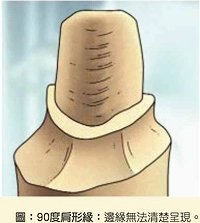 images/4/2017/05/SF4PQOF28TG8FRFA2GFT82TF4FGC2X.jpg